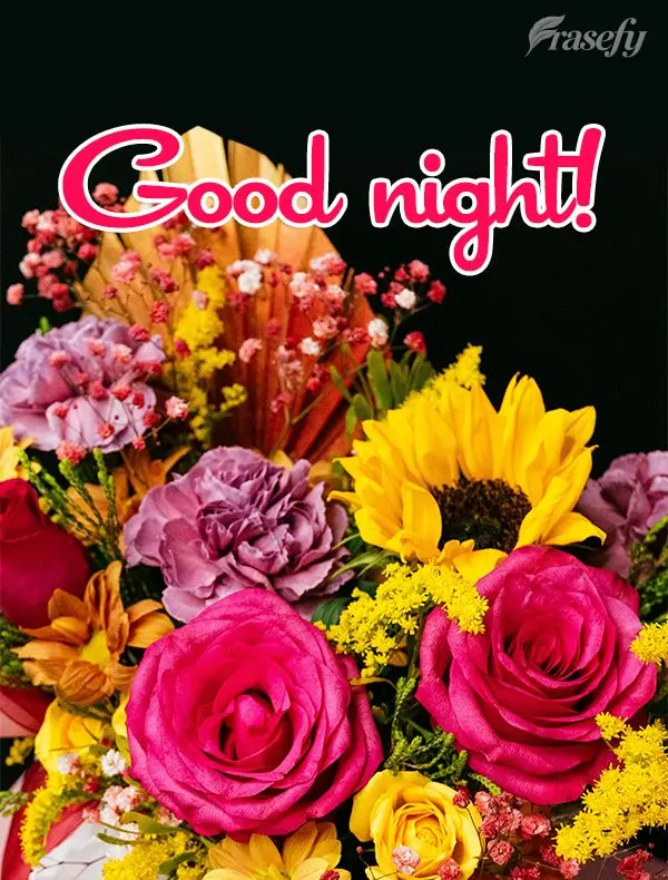 Good night!