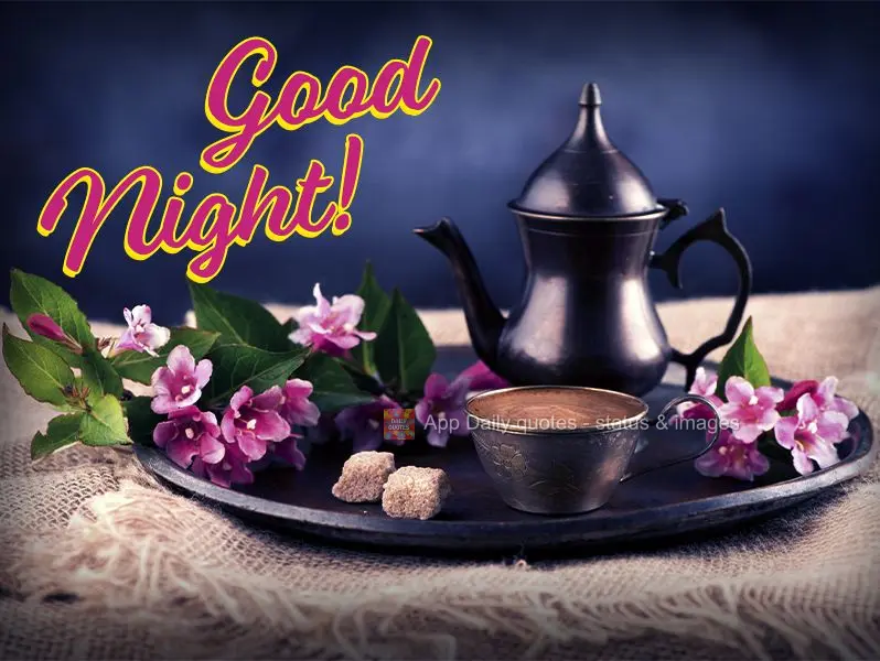 Good night!