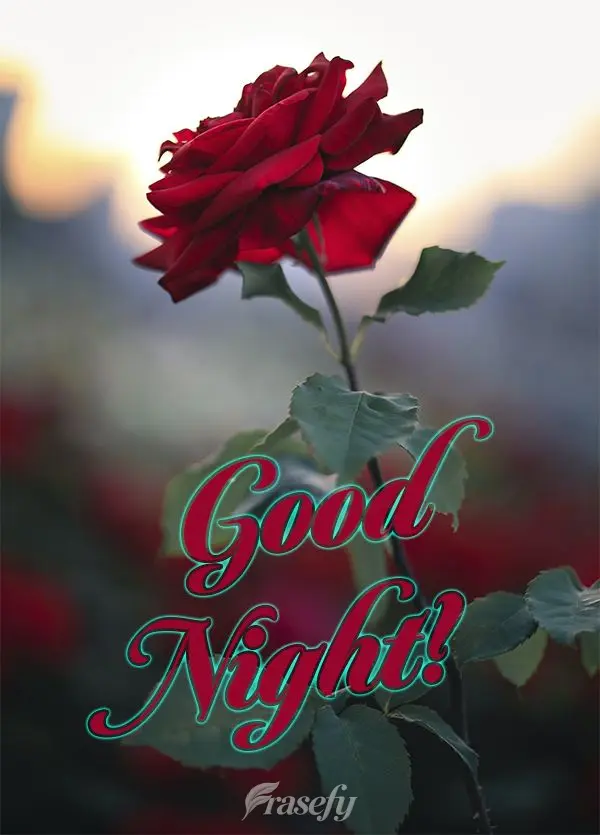 Good night!