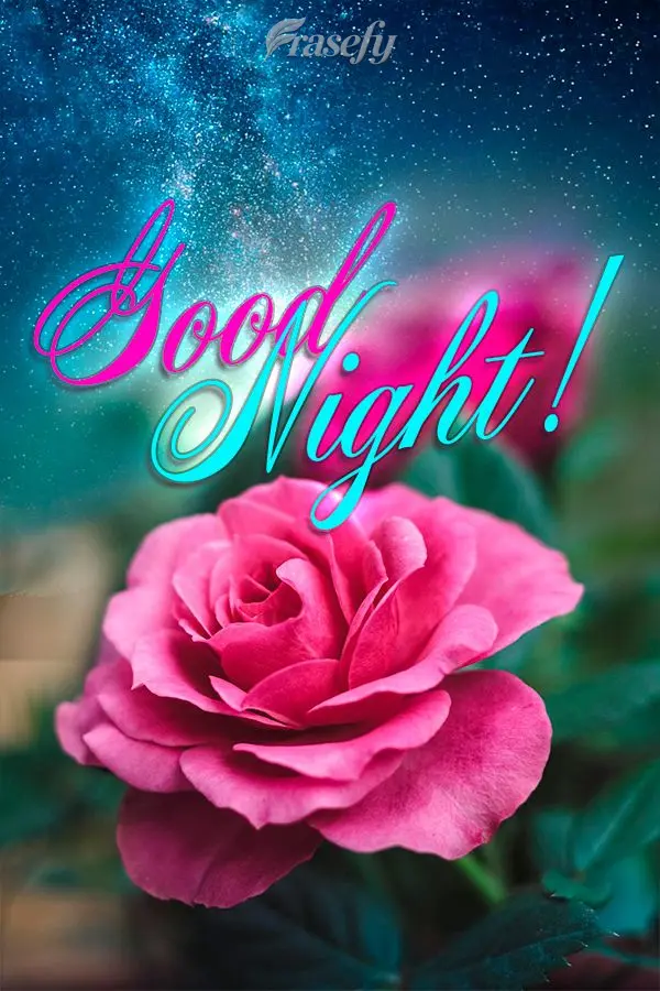 Good night!