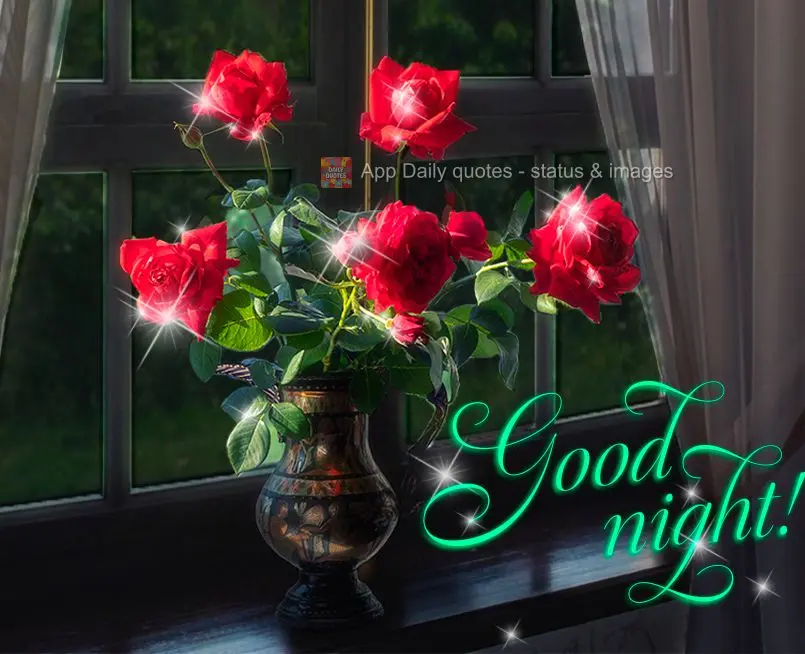 Good night!