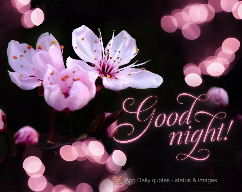 Good night!