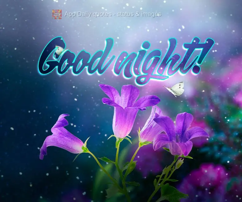 Good night!