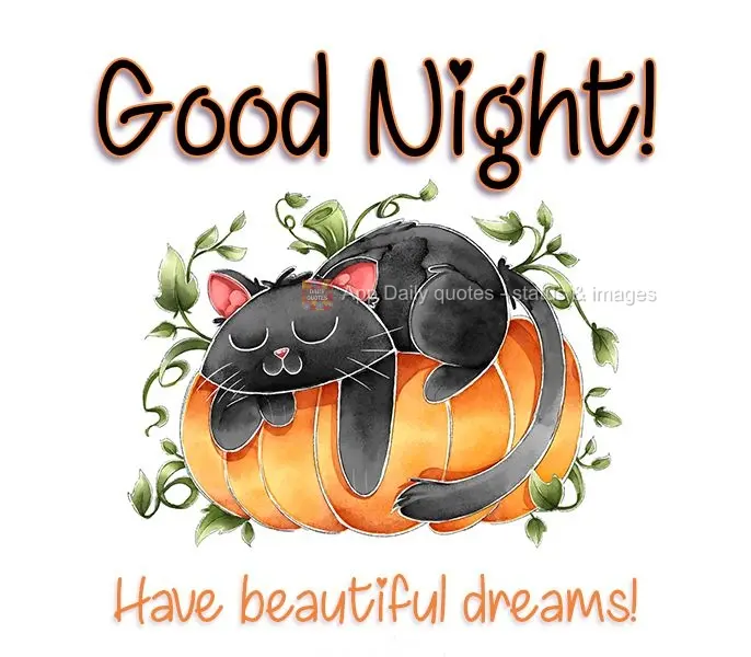 Good Night! Have beautiful dreams!
