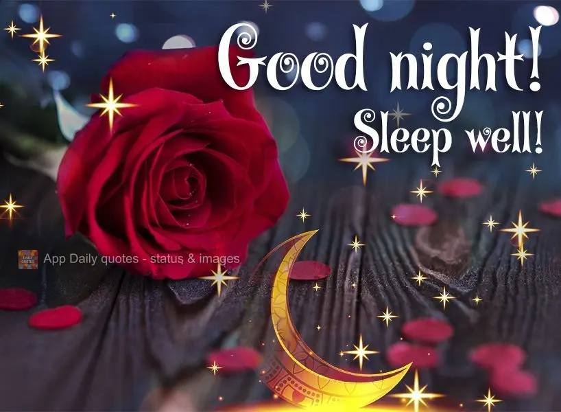 Good night! Sleep well!