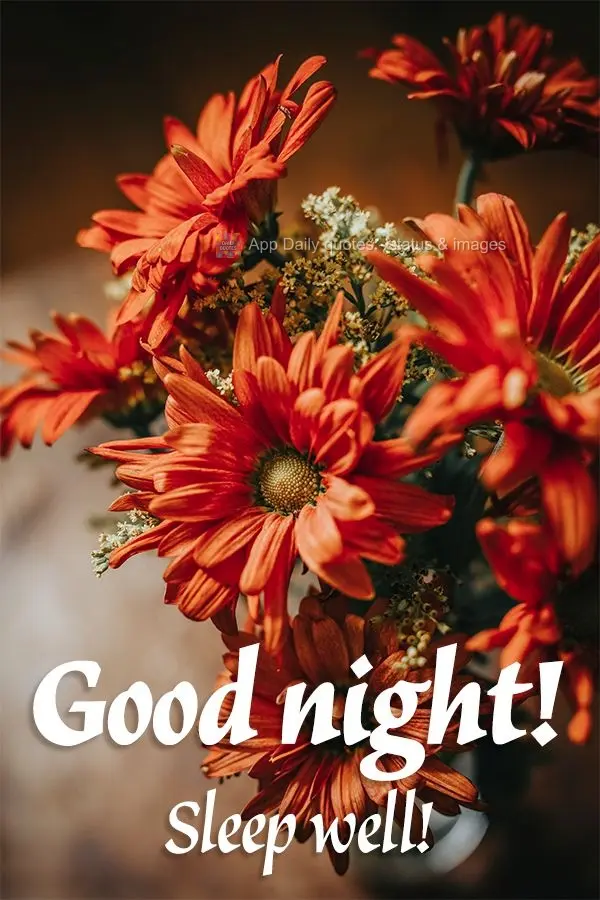 Good night! Sleep well!