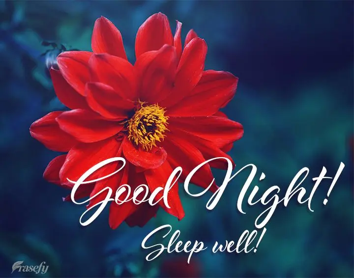 Good night! Sleep well!