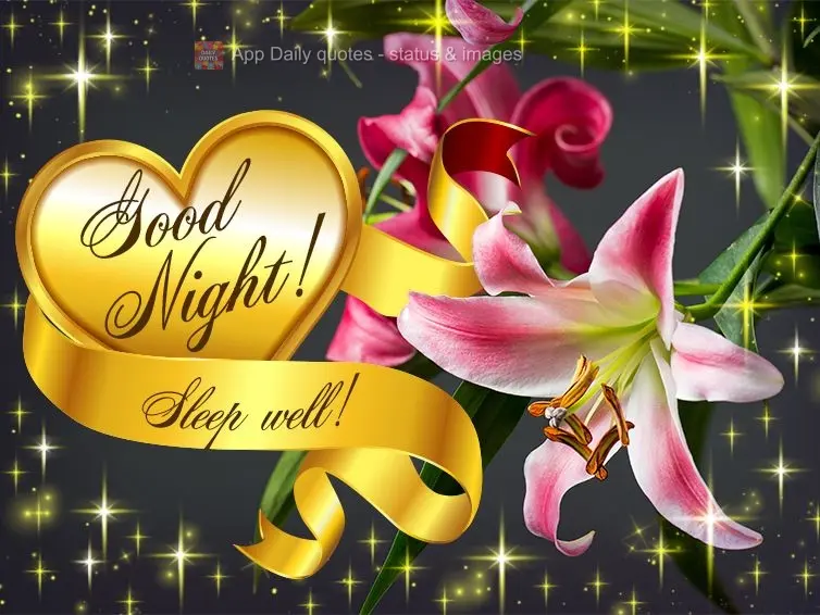 Good night! Sleep well!