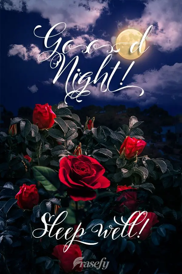 Good night! Sleep well!