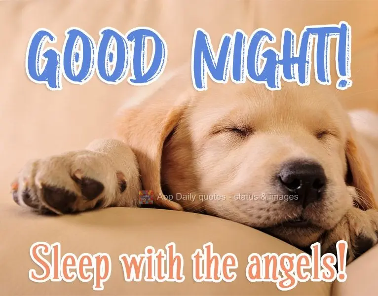 Good night! Sleep with the angels!