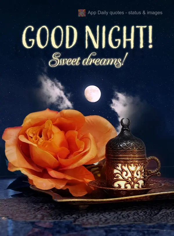Good night! Sweet dreams!