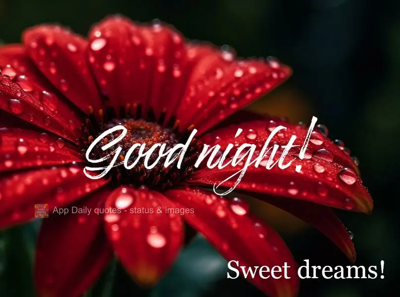 Good night! Sweet dreams!