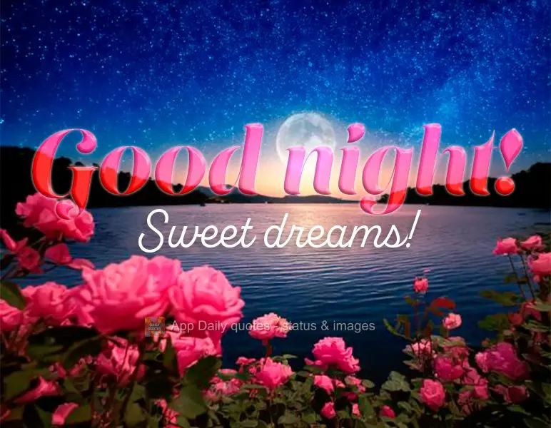 Good night! Sweet dreams!