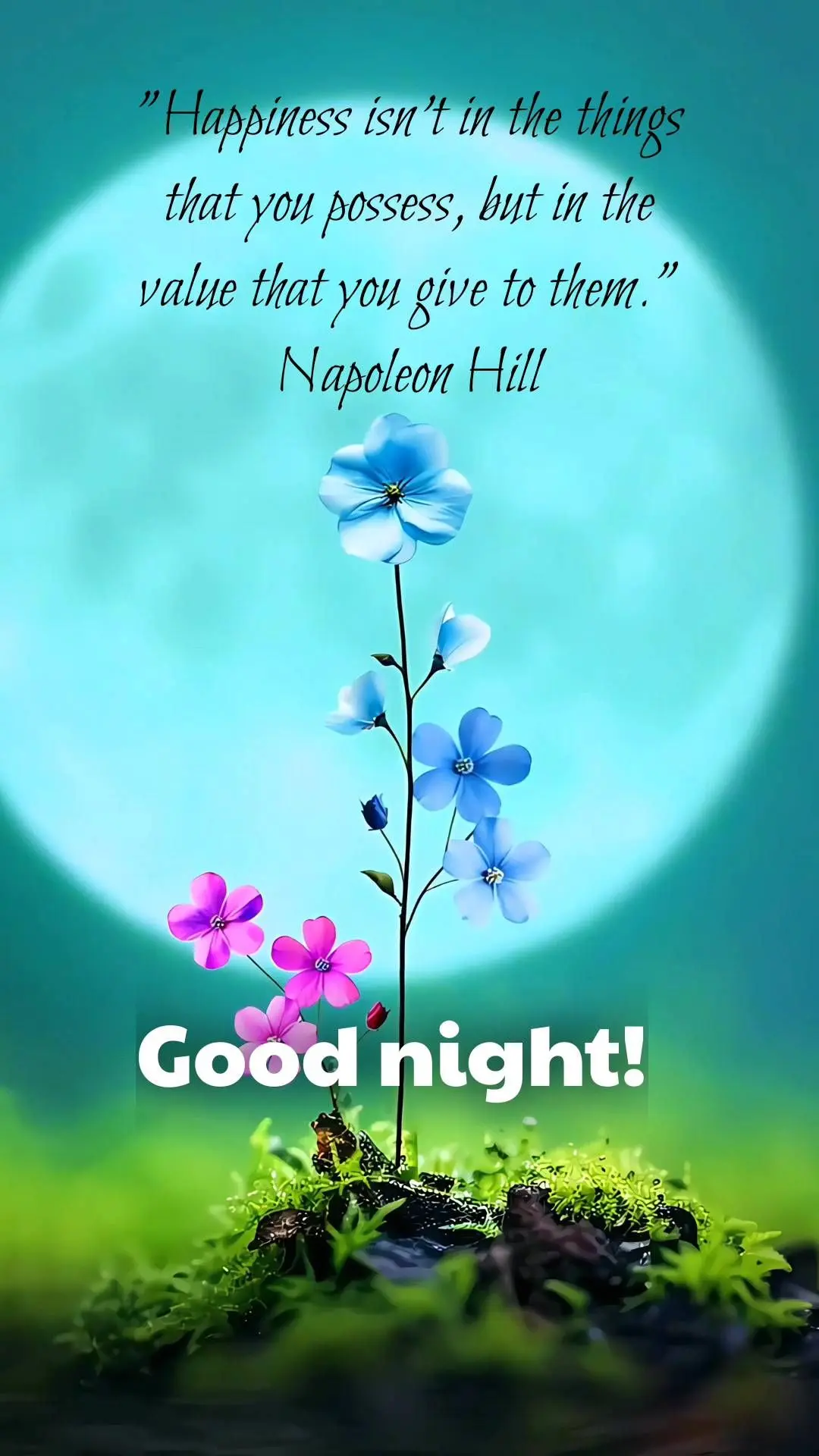 "Happiness isn't in the things that you possess, but in the value that you give to them."
    Napoleon Hill  Good night!