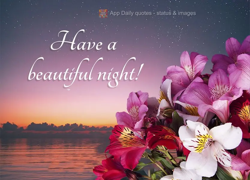 Have a beautiful night!