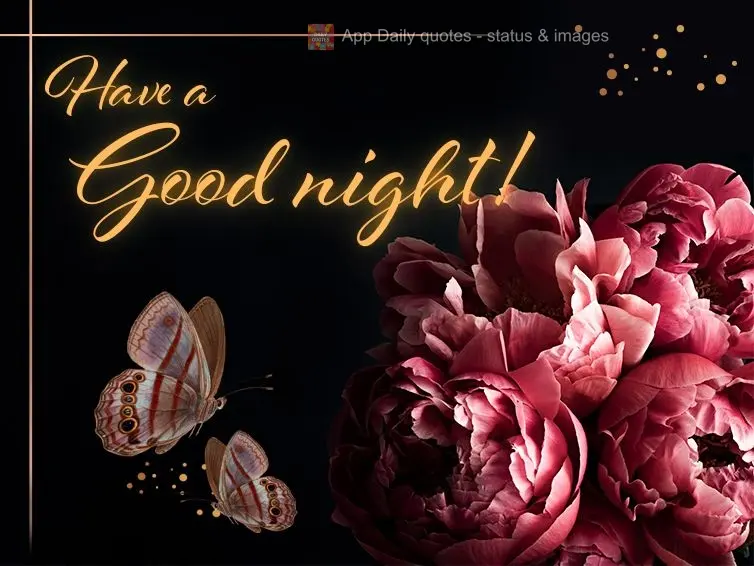 Have a good night!