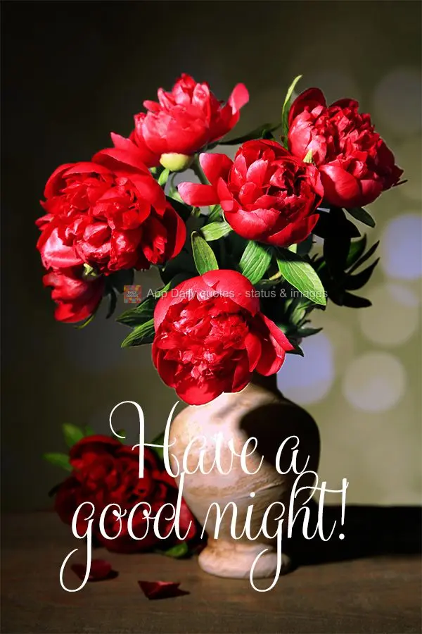Have a good night!
