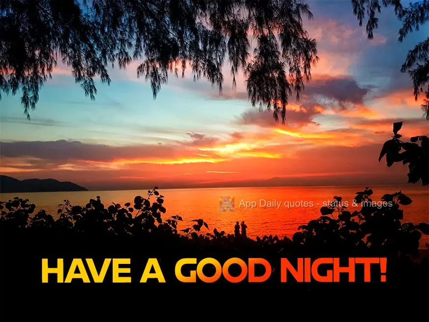 Have a good night!
