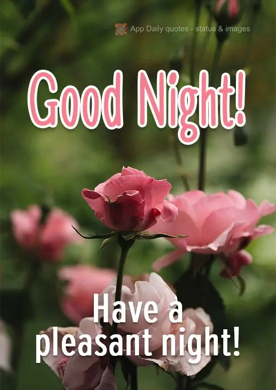 Have a pleasant night! Good Night!