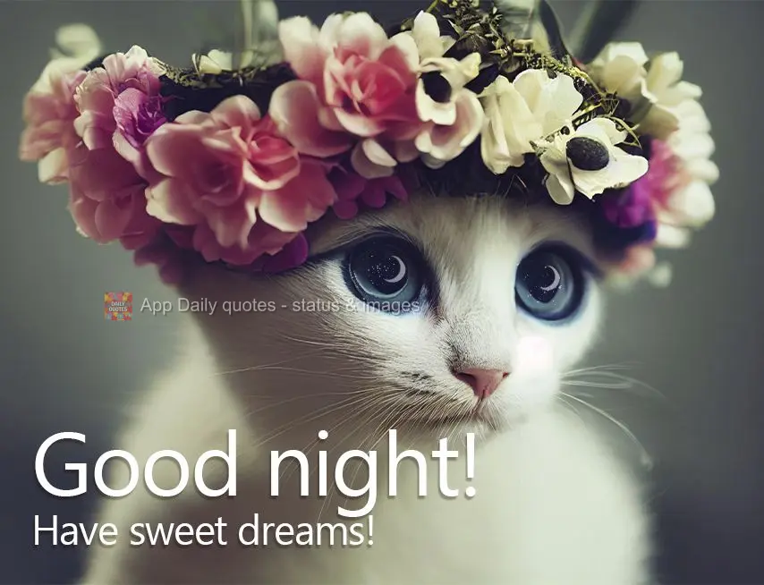 Have sweet dreams! Good night!