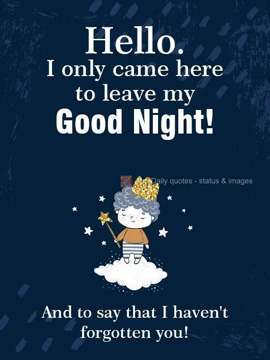 Hello. I just stopped by to send you a Good Night! And to say that I haven't forgotten about you!