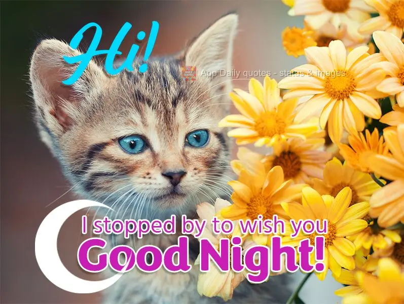 Hi! I stopped by to wish you good night!