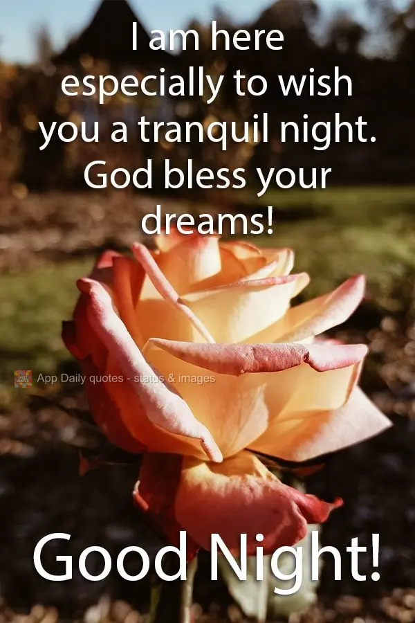 I am here especially to wish you a tranquil night. God bless your dreams! Good Night!