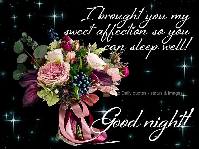 I brought you this sweet gesture of affection so that you can sleep well! Good night!