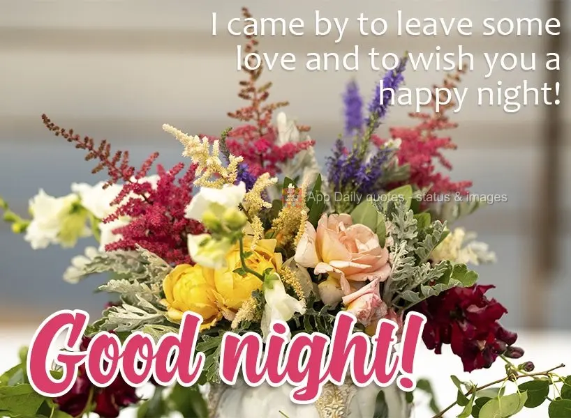 I came by to send some love and to wish you a happy night! Good night!