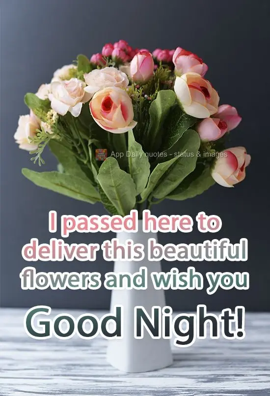 I passed by to deliver these beautiful flowers and wish you Good Night!