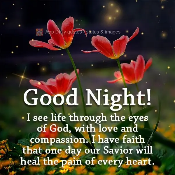 I see life through the eyes of God, with love and compassion. I have faith that one day our Savior will heal the pain of every heart. Good night!
