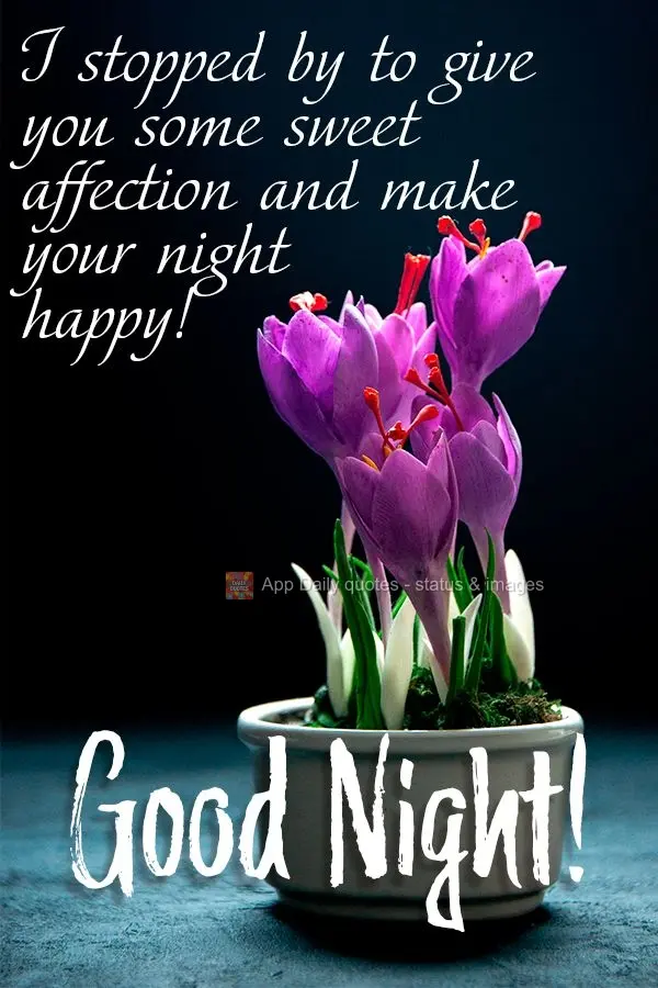 I stopped by to give you some sweet affection and make your night happy! Good Night!