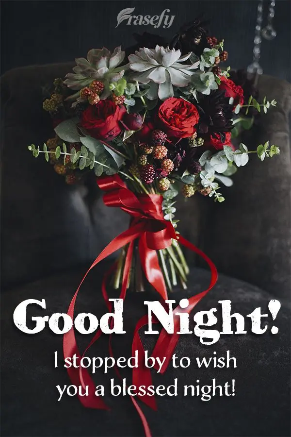 I stopped by to wish you a blessed night! Good Night!