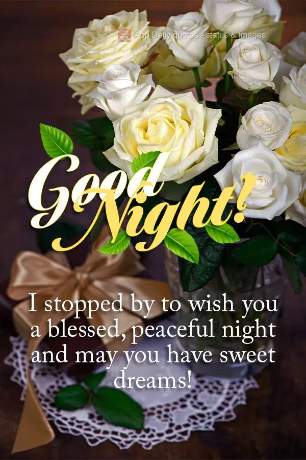 I stopped by to wish you a blessed, peaceful night. May you have sweet dreams! Good night!