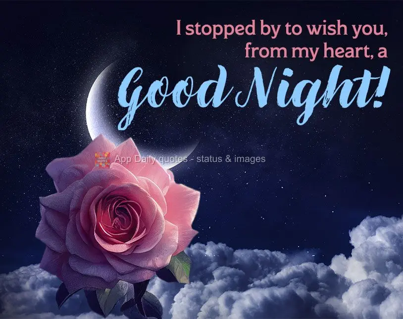 I stopped by to wish you, from my heart, a Good Night! 