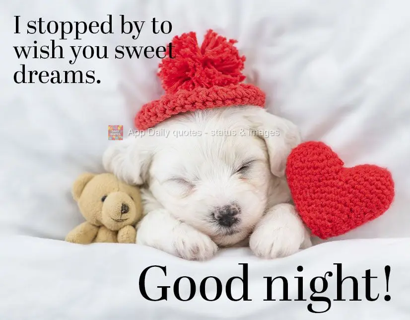 I stopped by to wish you sweet dreams. Good night!
