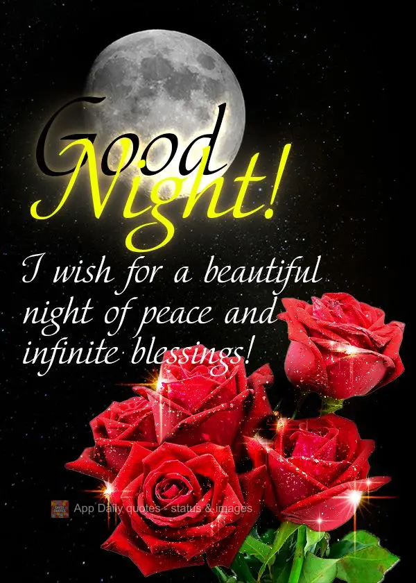 I wish for a beautiful night of peace and infinite blessings! Good night!