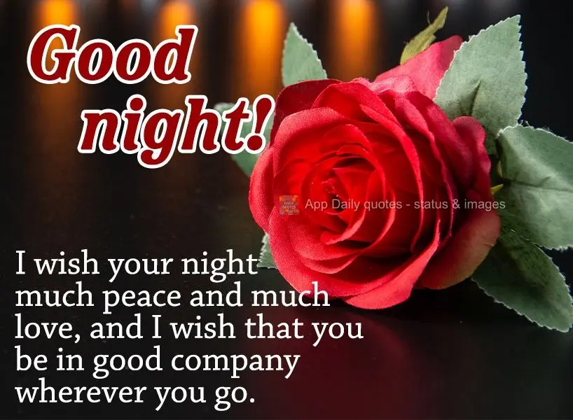 I wish for your night to be peaceful and full of love, and I wish that you are in good company wherever you go. Good night!