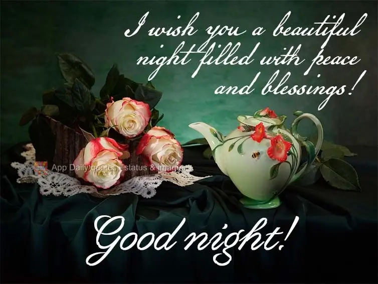 I wish you a beautiful night filled with peace and blessings! Good night!