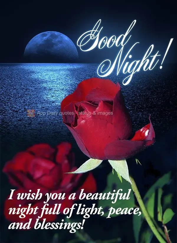 I wish you a beautiful night full of light, peace, and blessings! Good night!