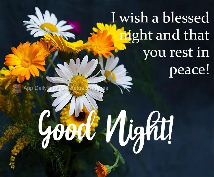I wish you a blessed night, and may you rest peacefully! Good Night!