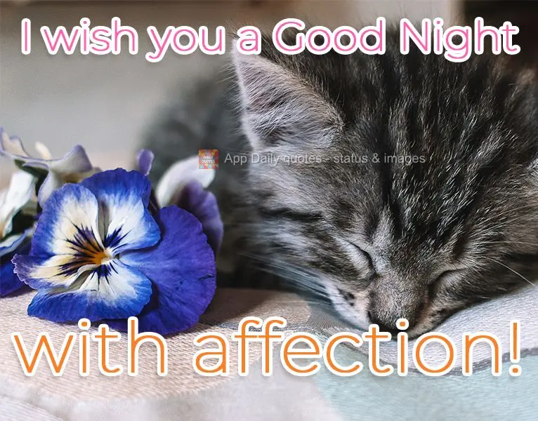 I wish you a Good Night with all my love!