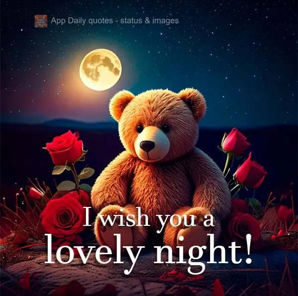 I wish you a lovely night!