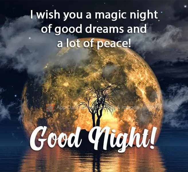 I wish you a magical night of sweet dreams and a lot of peace! Good Night!