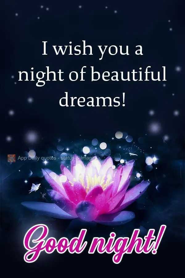 I wish you a night of beautiful dreams! Good night!