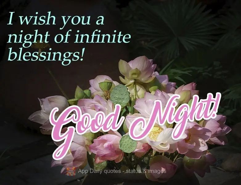 I wish you a night of infinite blessings! Good night! 