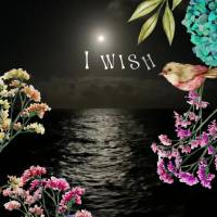 I wish you a night of peace and sweet dreams!