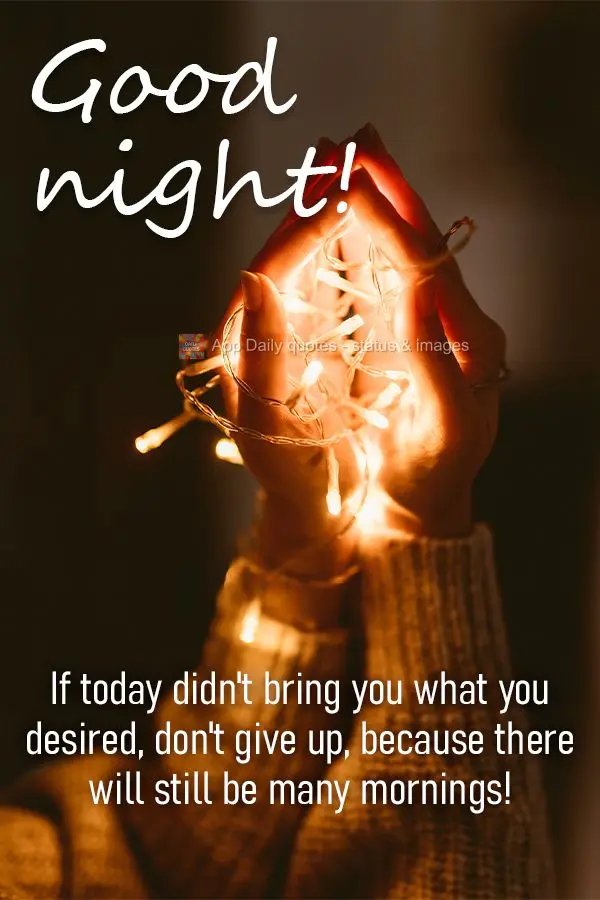 If today didn't bring you what you desired, don't give up, because there will still be many mornings! Good night!
