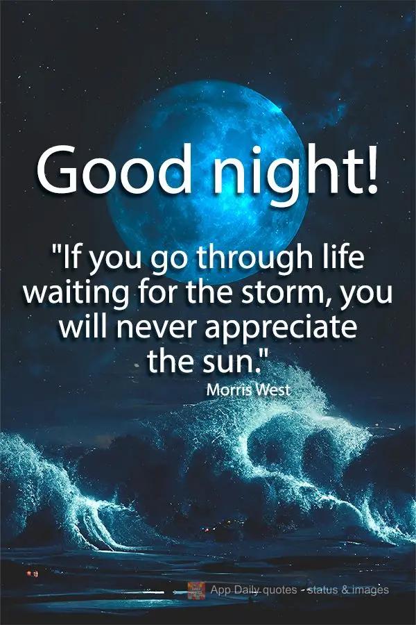 "If you go through life waiting for the storm, you will never appreciate the sun." Good night! Morris West