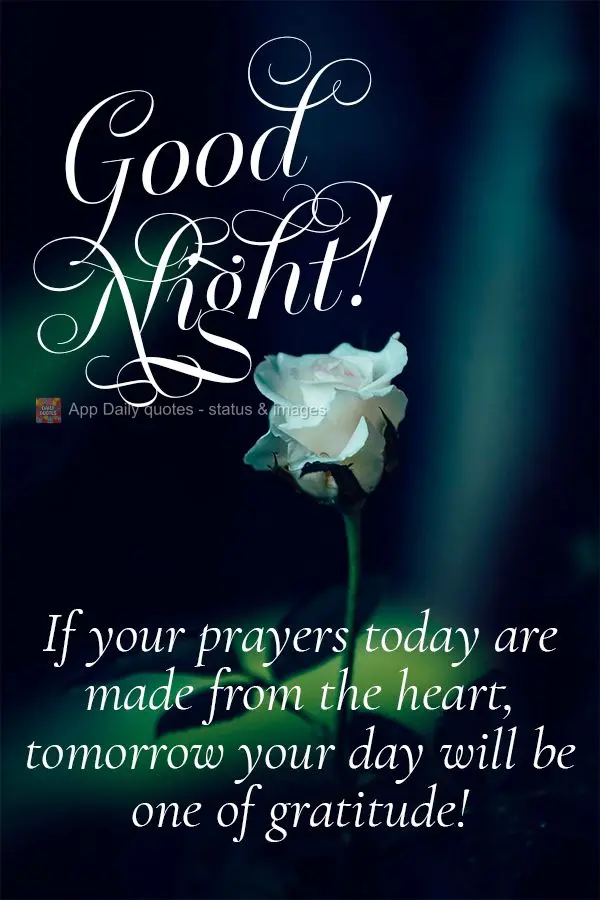 If your prayers today are made from the heart, tomorrow your day will be one of gratitude! Good night!
